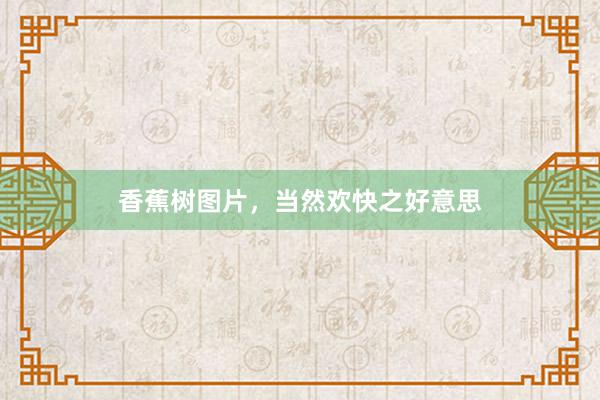 香蕉树图片，当然欢快之好意思